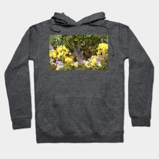 pair of wild mice spring flowers Hoodie